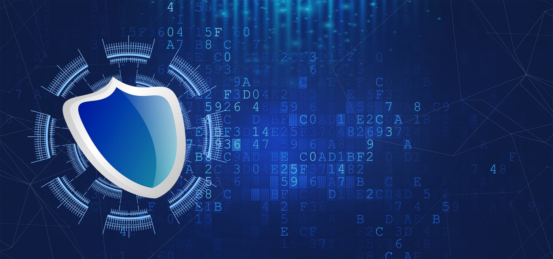 Security Background